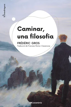 Frédéric Gros Caminar, una filosofia обложка книги