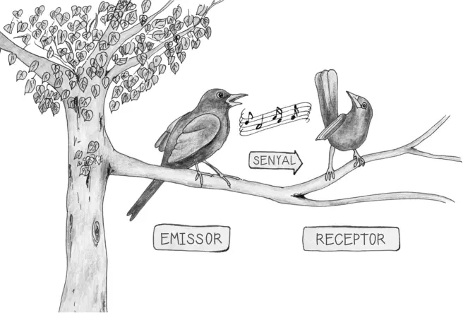 Emissor senyal i receptor La comunicació segons el model de ShannonWeaver - фото 5
