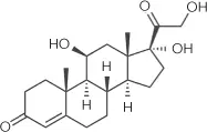 El cortisol tampoc és un neurotransmissor en sentit estricte però tot i així - фото 17