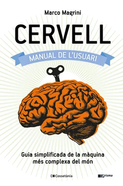 Marco Magrini Cervell: manual de l'usuari обложка книги