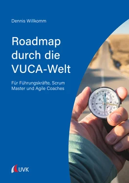 Dennis Willkomm Roadmap durch die VUCA-Welt обложка книги
