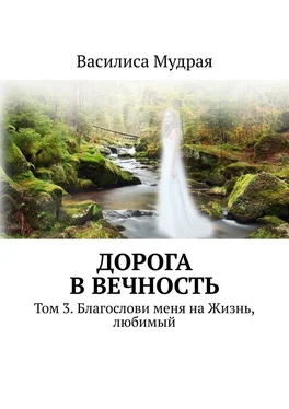 Василиса Мудрая Дорога в вечность. Том 3. Благослови меня на Жизнь, любимый обложка книги