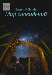 Евгений Лунёв - Мир сновидений