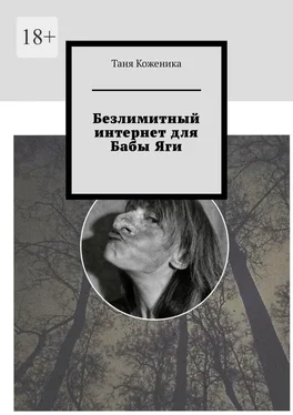 Таня Коженика Безлимитный интернет для Бабы Яги обложка книги