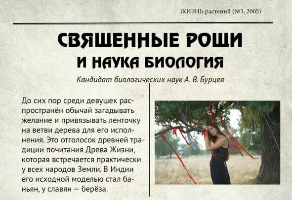 В научном обиходе считается что почтительное отношение к волшебной силе - фото 6