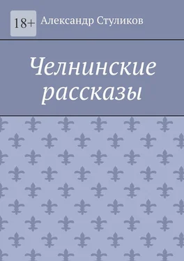 Александр Стуликов Челнинские рассказы обложка книги