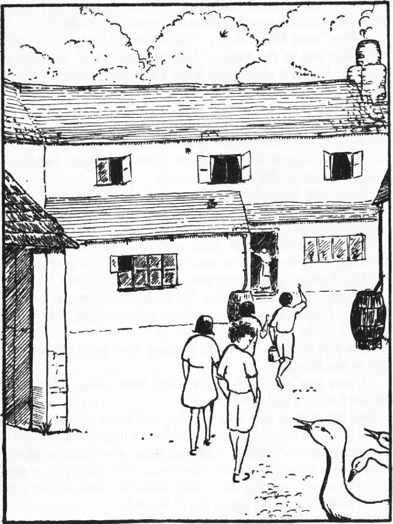DIXONS FARM Were not said Roger At least as the old gander stretched - фото 61