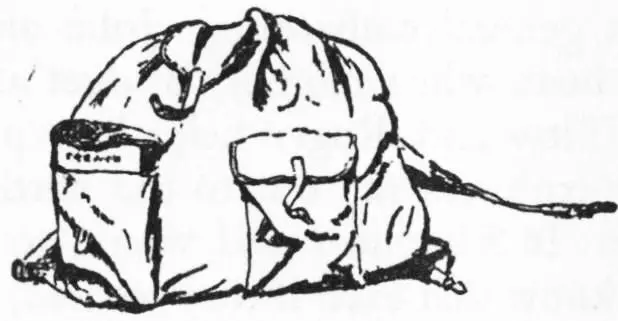 Chapter XI The AbleSeaman in Command Table of Contents There were no trees - фото 79