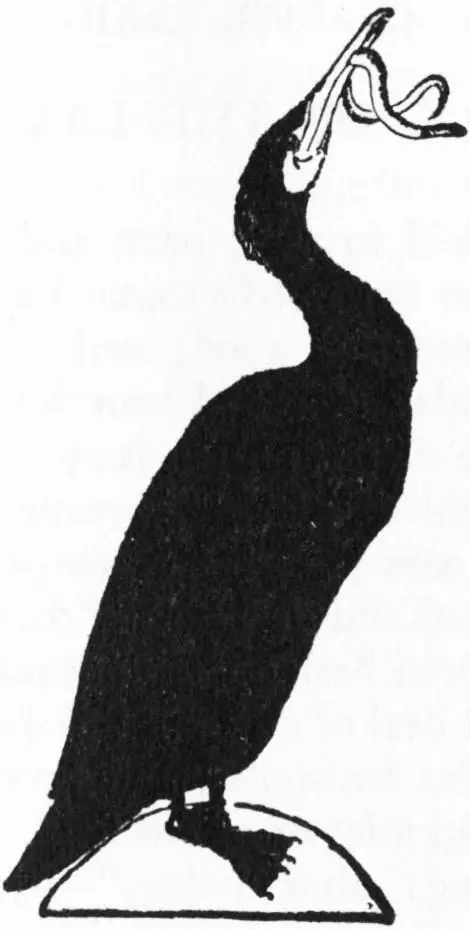 Chapter XXXII Fog on the Lake Table of Contents The two captains laid to - фото 125