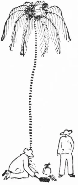 Chapter XIV Quit of the Viper Table of Contents The message about food was - фото 168