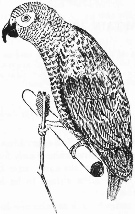 Chapter V Captain John Hangs On Table of Contents The old man said I mean - фото 64