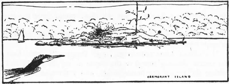 One reason why the Amazons found it hard to make good owl calls was that they - фото 117