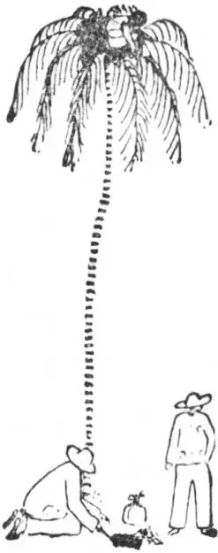Chapter VI And Winds It Up Table of Contents There was a short breathless - фото 155