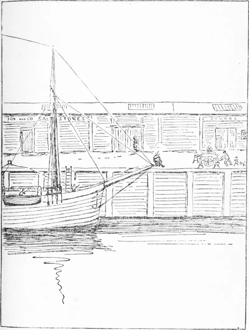 THE SWALLOWS JOIN THE SHIP Weve got a gorgeous galley to do the cooking in - фото 141