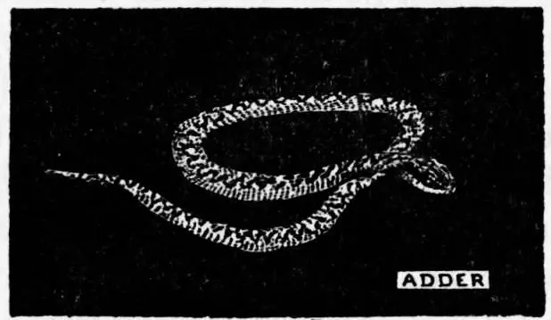 Chapter XIV The Letter From Captain Flint Table of Contents The Swallows were - фото 26