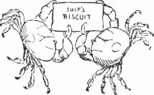 Chapter IX Beachy Head to the Wight Table of Contents Down below everybody - фото 160