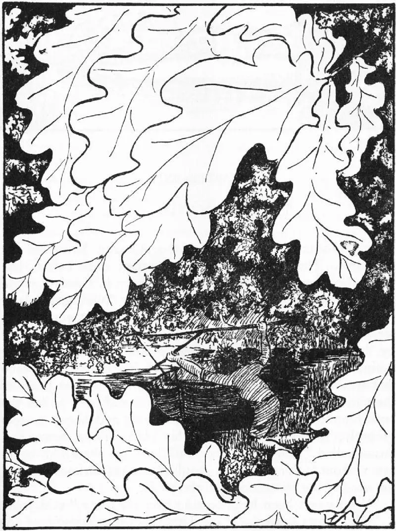 THE HIDDEN BOAT Chapter XXIV The NoonTide Owl Table of Contents The - фото 109