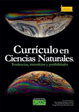 Inés Andrea Sanabria Totaitive Currículo en Ciencias Naturales. обложка книги
