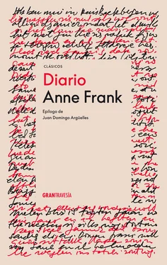 Anne Frank Diario обложка книги