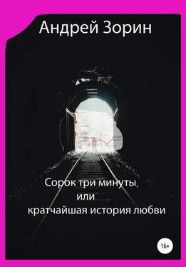 Андрей Зорин Сорок три минуты, или Кратчайшая история любви обложка книги