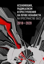 Коллектив авторов - Ксенофобия, радикализм и преступления на почве ненависти на пространстве ОБСЕ. 2018–2020 гг.