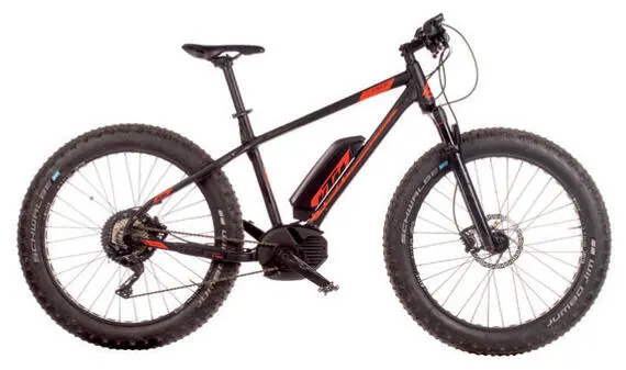 KTM Macina Freeze Motor Bosch CX 250W75 Nm Akku Bosch Powerpack 500 Wh - фото 10