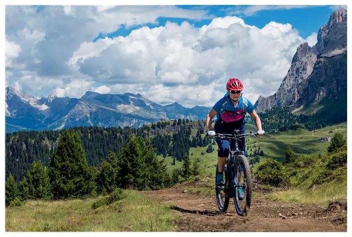 Mountainbike mit Rückenwind In die Berge auf die Piste durch Wald Wiesen - фото 2