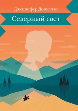 Дженнифер Доннелли Северный свет обложка книги