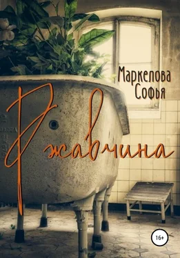 Софья Маркелова Ржавчина обложка книги
