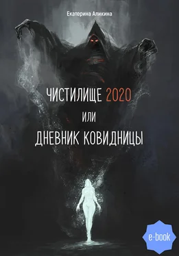 Екатерина Аликина Чистилище 2020 или Дневник Ковидницы обложка книги