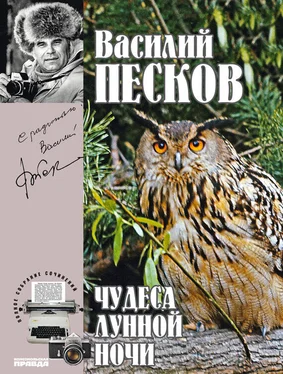 Василий Песков Полное собрание сочинений. Том 15. Чудеса лунной ночи обложка книги