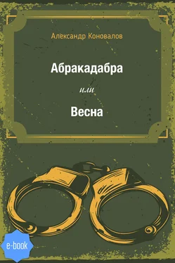 Александр Коновалов Абракадабра или Весна обложка книги