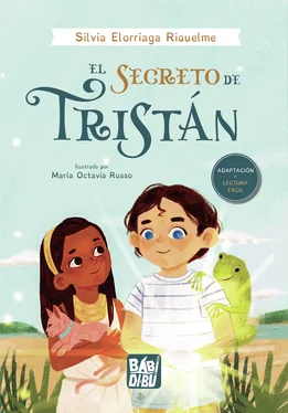 Silvia Elorriaga Riquelme El secreto de Tristán обложка книги