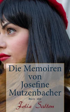 Felix Salten Die Memoiren von Josefine Mutzenbacher (Buch 1&2) обложка книги