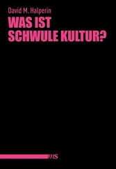 David M. Halperin - Was ist schwule Kultur?