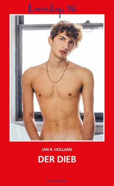 Jan R. Holland Loverboys 166: Der Dieb обложка книги