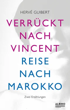 Hervé Guibert Verrückt nach Vincent & Reise nach Marokko обложка книги