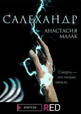 Анастасия Малак Салехандр обложка книги