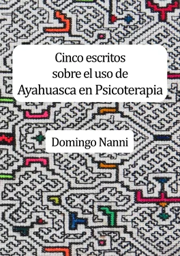 Domingo Nanni Cinco escritos sobre el uso de Ayahuasca en Psicoterapia обложка книги