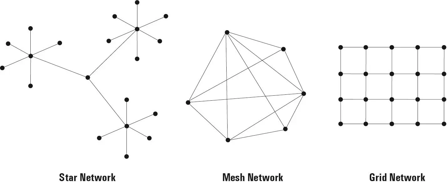 Figure 19 Exemplary Types of Networks to Represent Systems 38 Every - фото 10