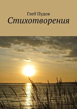 Глеб Пудов Стихотворения обложка книги