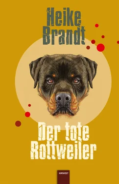 Heike Brandt Der tote Rottweiler обложка книги