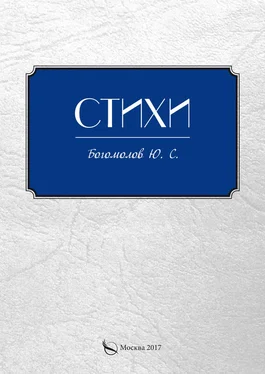 Ю. Богомолов Стихи обложка книги