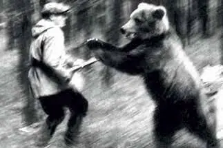Исключая может быть крокодила который выбирая объект охоты не обходит и - фото 110