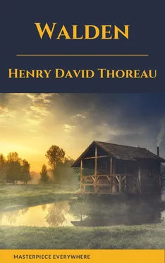Henry David Thoreau Walden by henry david thoreau обложка книги