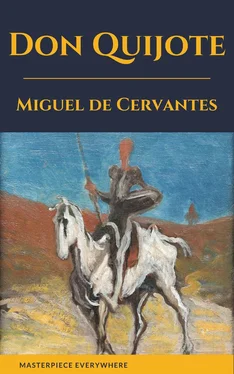 Miguel de Cervantes Don Quijote de la Mancha обложка книги