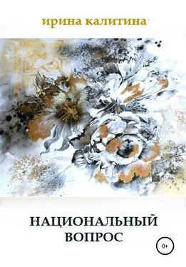 Ирина Калитина Национальный вопрос обложка книги