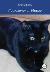 Елена Бель - Приключения Марго