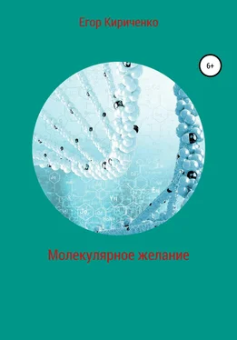 Егор Кириченко Молекулярное желание обложка книги