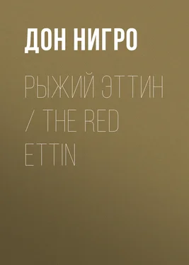 Дон Нигро Рыжий Эттин / The Red Ettin обложка книги